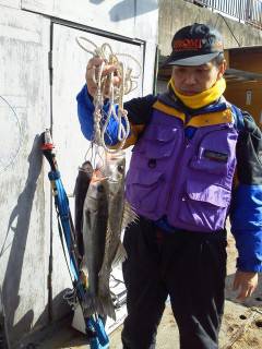 中波止・旧の一文字でのエビ撒き釣りの釣果。…