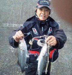 好★釣　23日岸和田エビ撒き釣果