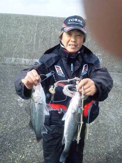 好★釣　23日岸和田エビ撒き釣果