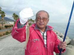 新年初キス釣り釣行 in 淡路佐野新島