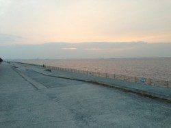 【シラサエビでガシラ！】南芦屋浜リアル朝編