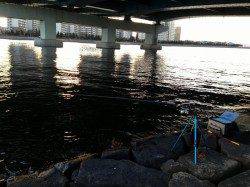 【エビ撒きいいぞ!!】南芦屋浜リアルタイム