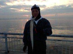 南芦屋浜ではタチウオまだ釣れています！