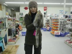 やったよ！エギ4号で4ハイ☆椿でエギングの…