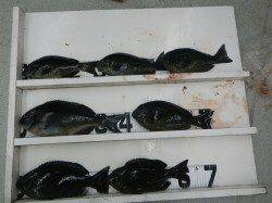 口和深でフカセ釣り、尾長&口太を合計6枚！