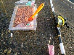 新釣法!チヌサビキ!!