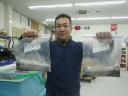 アオリイカ美味サイズGET♪　白浜地磯のヤ…