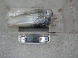 すさみ周辺でヤエン釣り、2ｋ越えも出てきました♪