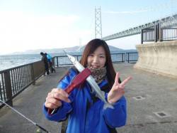 アジュール舞子　ジャンボサヨリが入れ食いで…