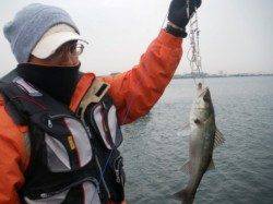 エビ撒き好調継続中!!　泉大津RT30日あさ