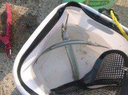 お帰りなさいサヨリちゃん【アジュール舞子】