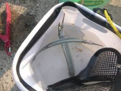 お帰りなさいサヨリちゃん【アジュール舞子】…