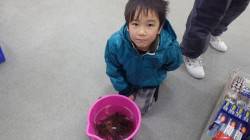 堺でのお子様の釣果、ガシラいっぱい釣りまし…