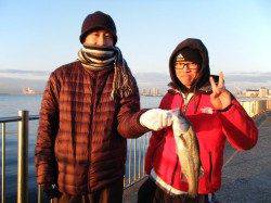 【ハネと太刀魚】南芦屋浜リアルタイム