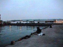 ハネ少し休憩…泉大津RT。夕方