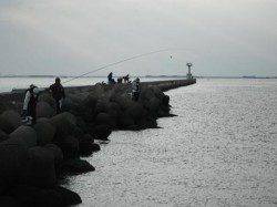 【エビ撒き人気！】西宮ケーソンＲＴ