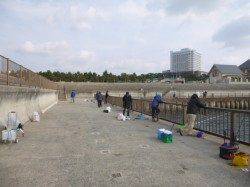 アジュール舞子でサヨリ！！