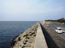 大津川尻汐見側テトラ、エビ撒きで40cmオーバーのチヌ3枚!!