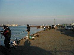 潮が動けば・・・。泉大津RT(13日・朝)