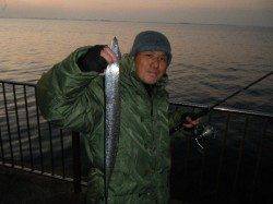 【エビ撒きいいぞ】南芦屋浜★