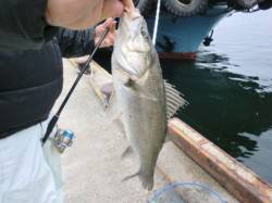 北公園のハネ！アタリだらけ！！