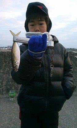 【２０日】今朝も水軒でアジが釣れています♪