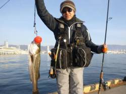 北公園のエビ撒きエンジンが掛かってきました…