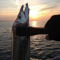 芦屋浜、ワインドで85cmの太刀魚ＧＥＴ！ヒットタイムは7時15分♪