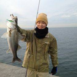 ボトムでドン、きました～♪♪ 貝塚でシーバス