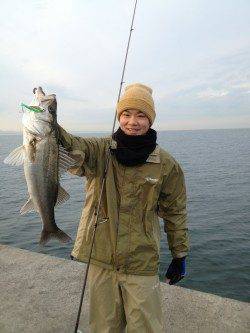 ボトムでドン、きました～♪♪ 貝塚でシーバス