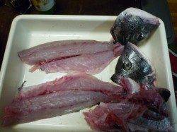 津居山でチニング、鍋の材料確保♪♪