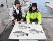 黒島の磯 チヌ〜45cm3匹の釣果