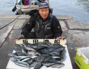 黒島の磯 フカセでグレ・サヨリ・チヌ