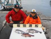 黒島の磯 フカセでグレ・サヨリ・チヌ