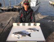 年なしチヌだ！　黒島の磯