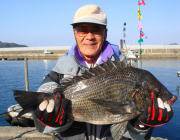 お見事！黒島の磯でチヌ53cm！