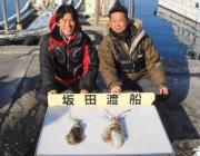 黒島の磯でエギング、アオリ×2