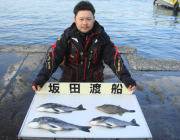 チヌにウマヅラも釣れています！黒島の磯