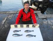 オキアミフカセでグレ釣果　in　鷹島のカン…