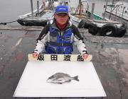 黒島の磯でフカセ釣り、良型チヌ釣れています♪