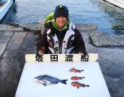 鷹島のカンドリにてチヌの釣果