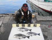 良型チヌの釣果 in 黒島の磯