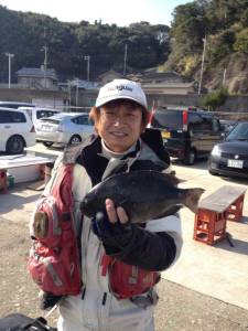 串本の磯 フカセでグレ45cm！