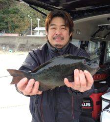 串本の磯 フカセでグレ41cm