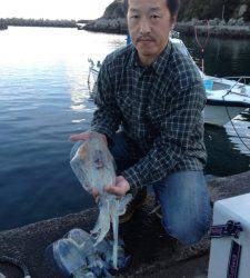 オオ島にて丁度いいサイズのアオリイカＧＥＴ☆