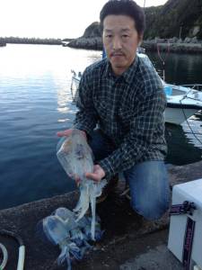 オオ島にて丁度いいサイズのアオリイカＧＥＴ…