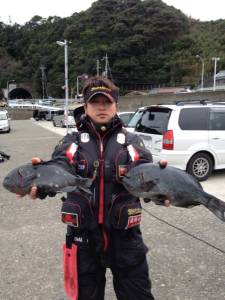 沖の赤島と壁でフカセ釣り、40cmまであと…