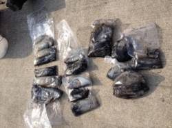 オオ島でヤエンとエギングでアオリ爆釣！