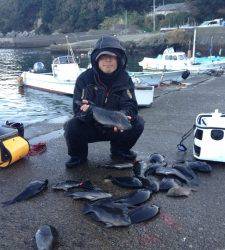 白崎でフカセ釣り、良型グレも釣れました！！大漁です！！！