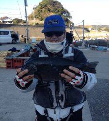 双子の子、3人でグレ28匹♪40cmオーバーのグレも♪♪